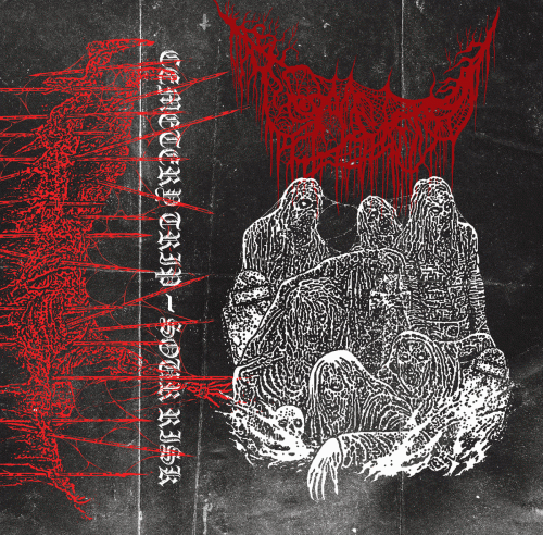 Cemetery Trip : Sour Risk